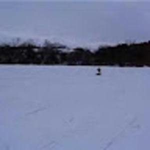 Meet your Posher, Steve